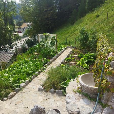 בגונג'ה נה גורנג'סקם Natur Apartma Rudi מראה חיצוני תמונה